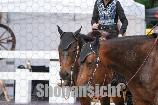 s_A_904473.JPG